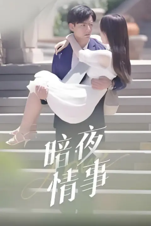 《暗夜情事》封面