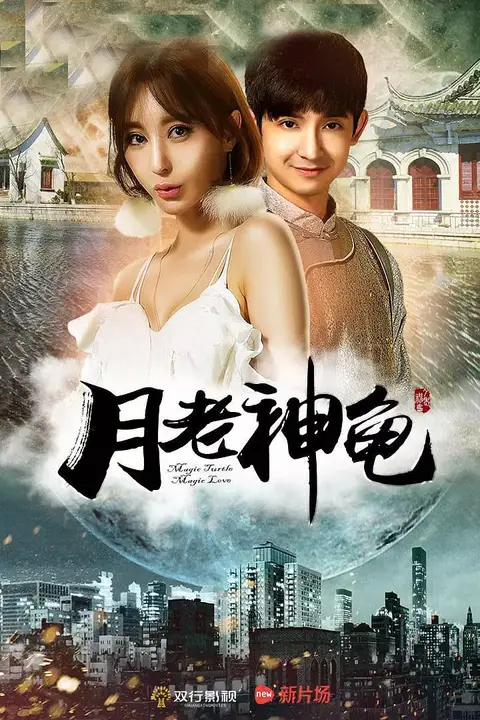 《月老神龟》封面
