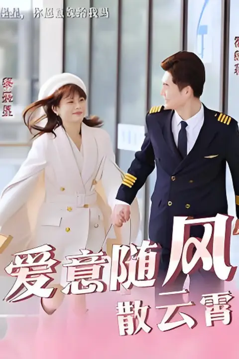 《爱意随风散云霄》封面