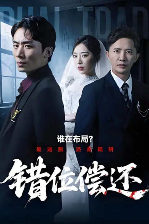 《错位偿还》封面