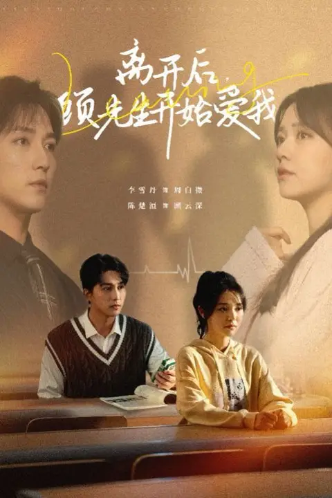 《离开后顾先生开始爱我》封面