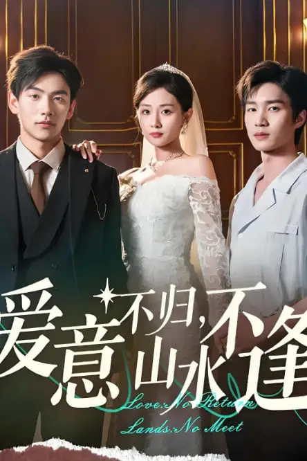 《爱意不归山水不逢》封面