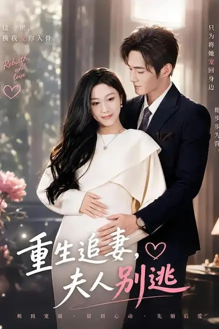 《重生追妻，夫人别逃》封面