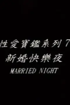《新婚快乐夜》封面