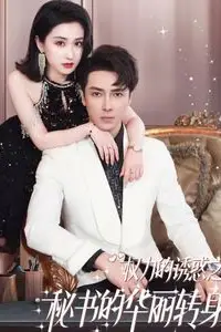 《权利的诱惑之秘书的华丽转身》封面