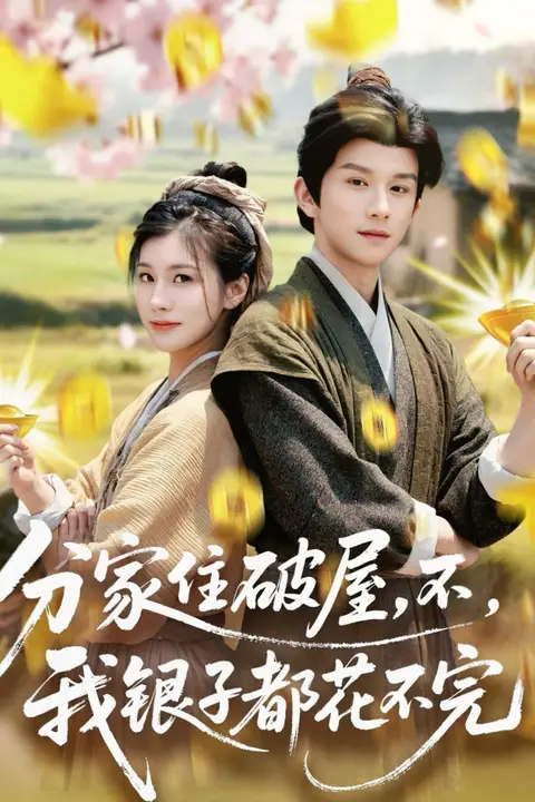 《分家住破屋,不,我银子都花不完》封面
