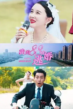 《我的88次逃婚》封面