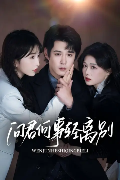 《问君何事轻离别》封面