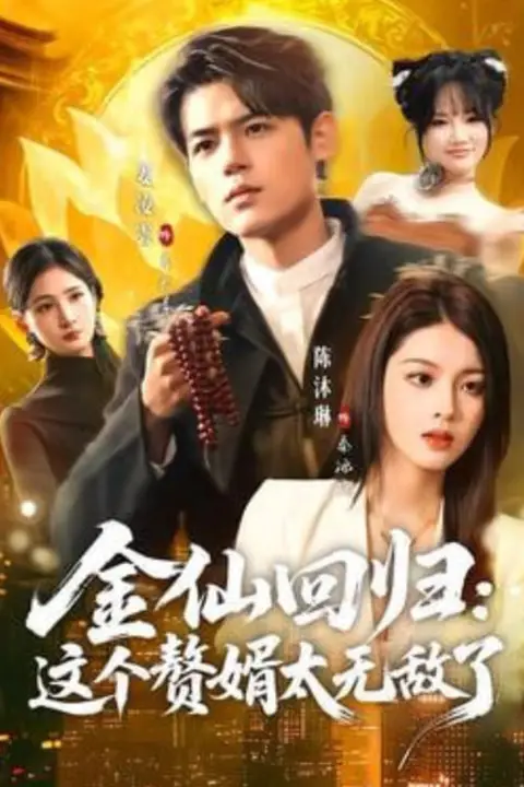 《金仙回归:这个赘婿太无敌了》封面