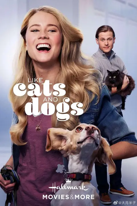 《爱上猫狗》封面