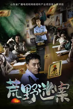 《荒野迷案》封面
