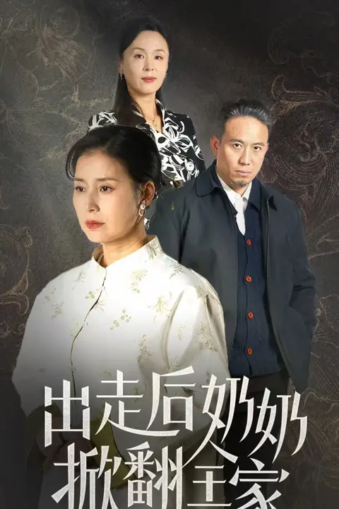 《出走后奶奶掀翻全家》封面