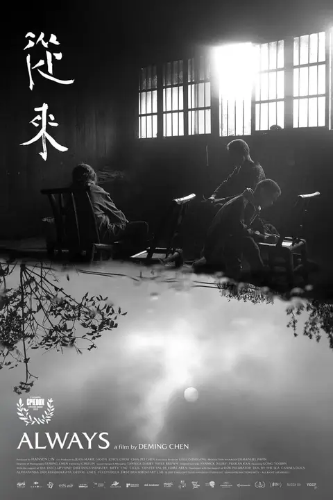 《从来》封面