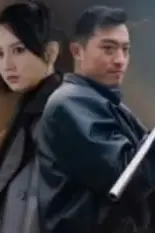 《双娇夫妻》封面