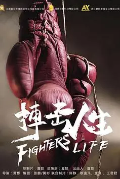 《搏击人生》封面