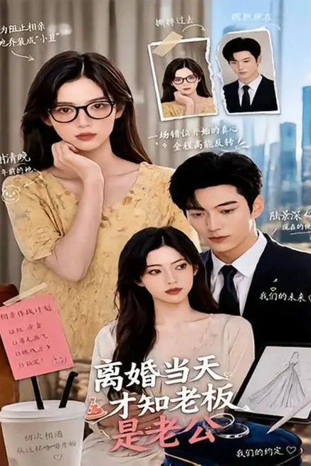《离婚当天才知老板是老公》封面