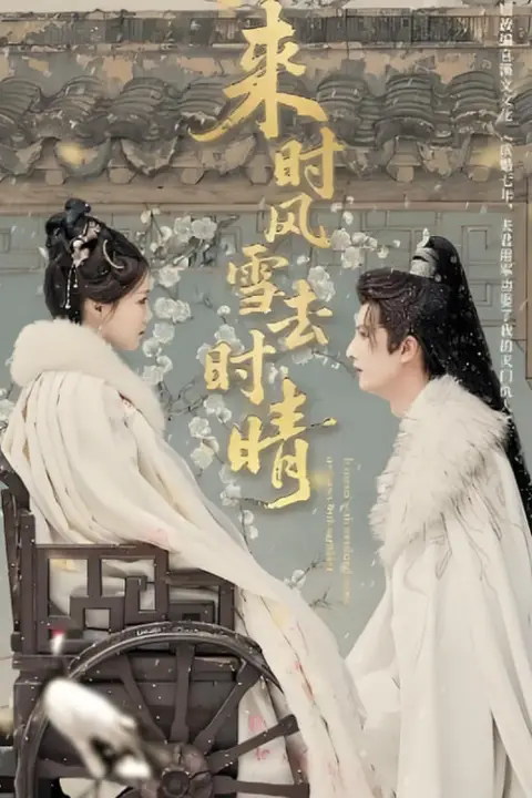 《来时风雪去时晴》封面