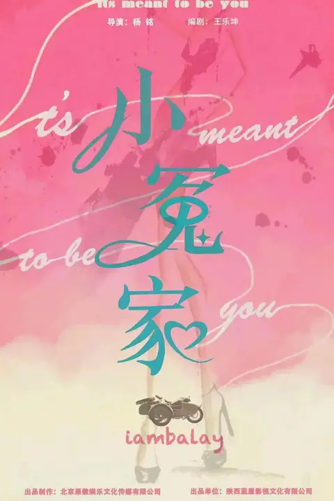 《我的媳妇不好惹》封面