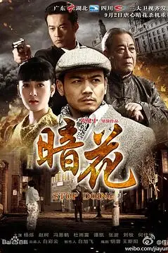 《暗花》封面