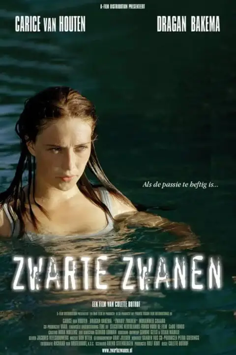 《黑天鹅 2005》封面