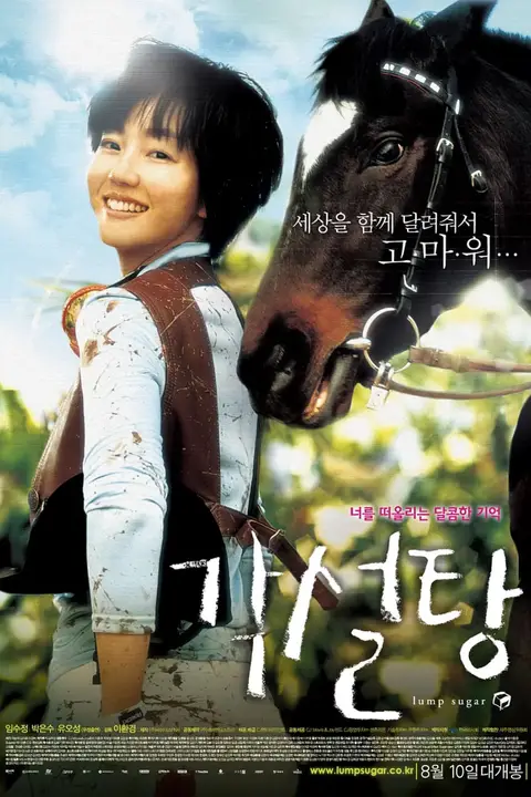 《方糖 2006》封面