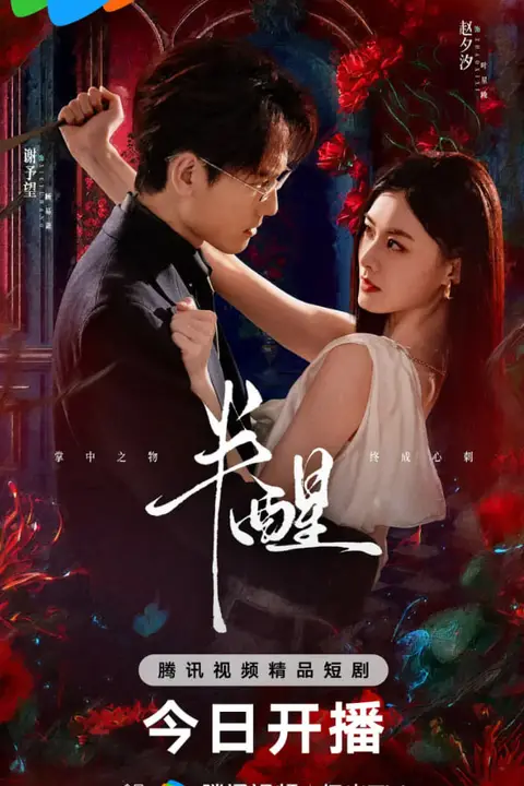 《半醒》封面