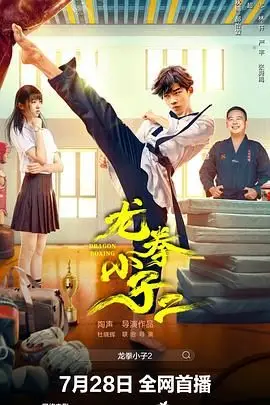 《龙拳小子2》封面