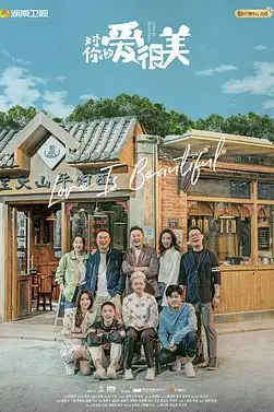 《对你的爱很美》封面