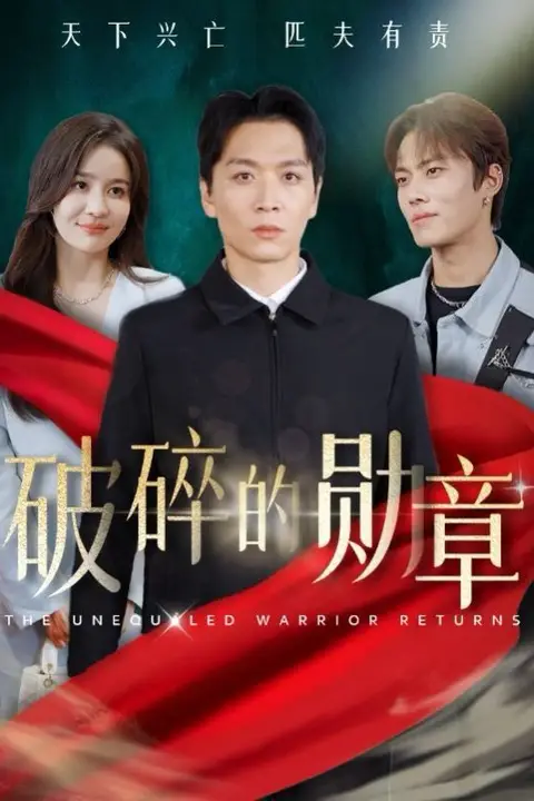 《破碎的勋章（被戏子侮辱后我国士的身份曝光）》封面