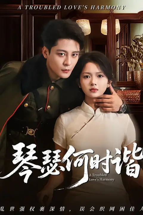 《琴瑟何时谐》封面