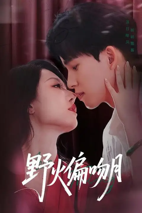 《野火偏吻月》封面