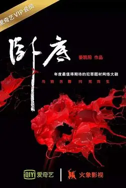 《卧底》封面