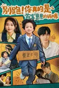 《别跑你真的是首富崽崽的妈咪》封面