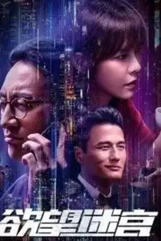 《欲望迷宫》封面