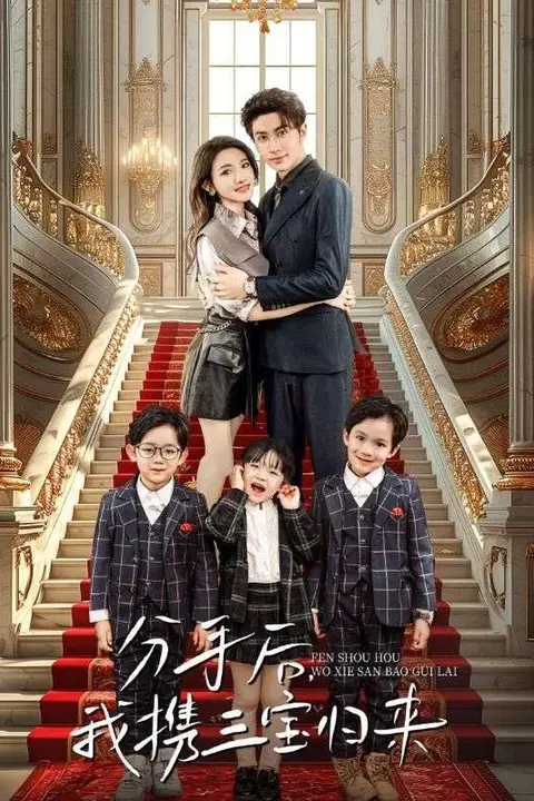 《分手后,我携三宝归来》封面