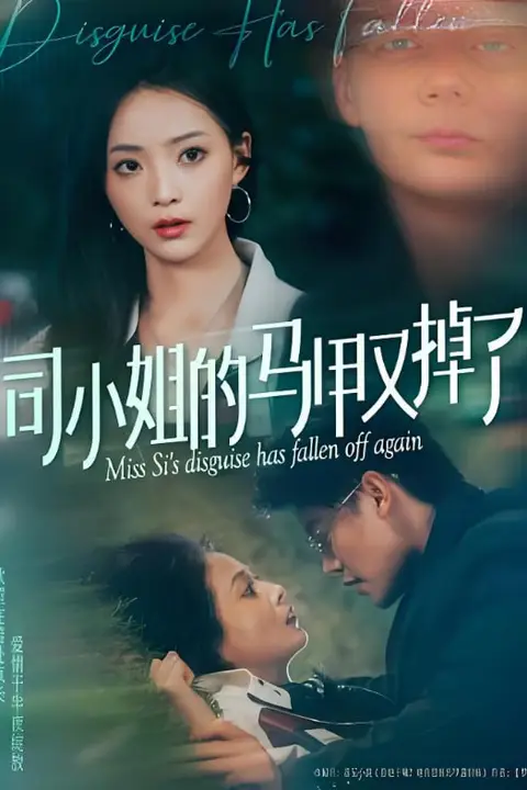 《司小姐的马甲又掉了》封面