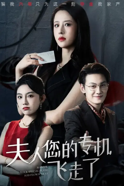 《夫人您的专机飞走了》封面