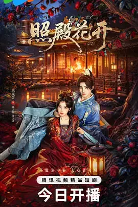 《照殿花开》封面