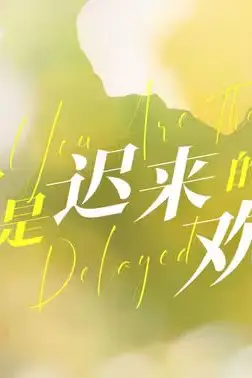 《你是迟来的欢喜》封面