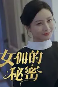 《女佣的秘密》封面