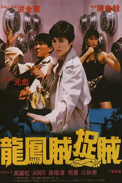 《龙凤贼捉贼》封面