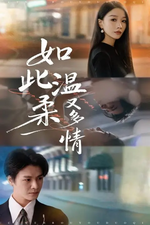 《如此温柔又多情》封面