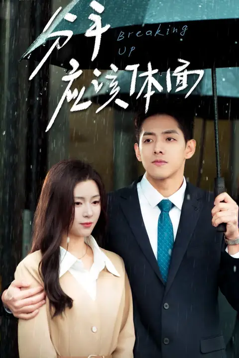 《分手应该体面》封面