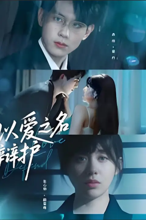 《以爱之名辩护》封面