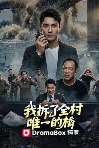 《我拆了全村唯一的桥》封面