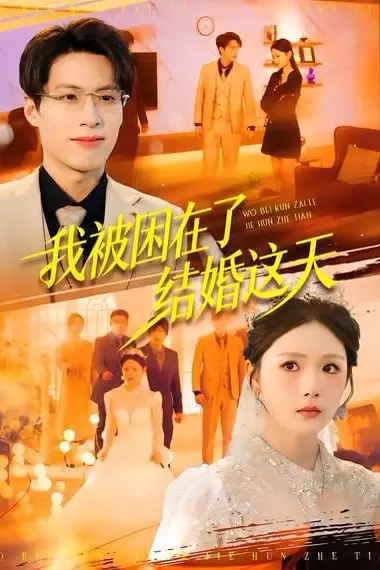 《我被困在了结婚这天》封面