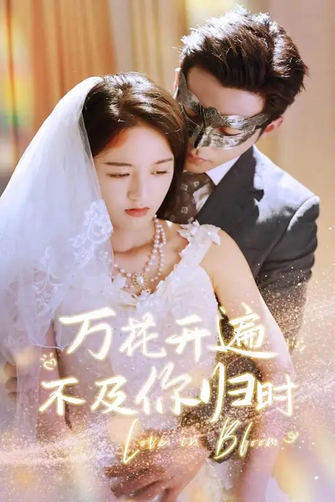 《万花开遍不及你归时》封面