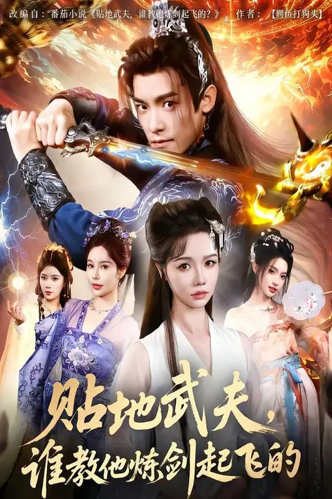 《贴地武夫谁教他练剑起飞的》封面