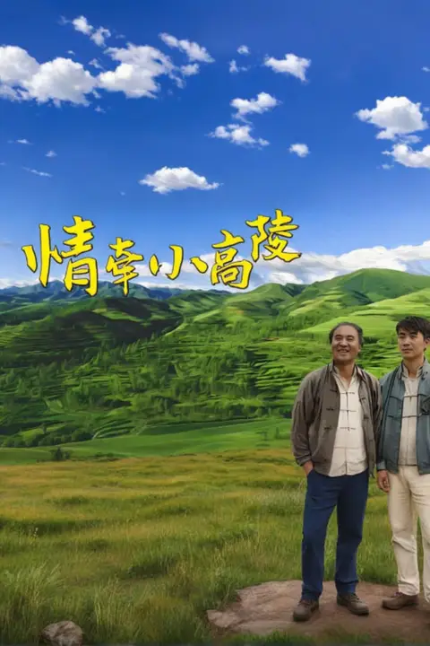 《情牵小高陵》封面