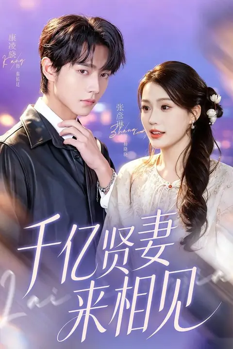 《钻石贤妻来相见（千亿贤妻来相见）》封面